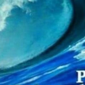 Meet your Posher, Edmundo